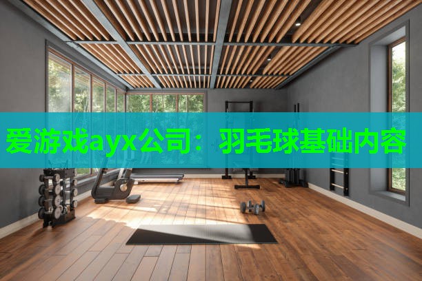 爱游戏ayx公司：羽毛球基础内容
