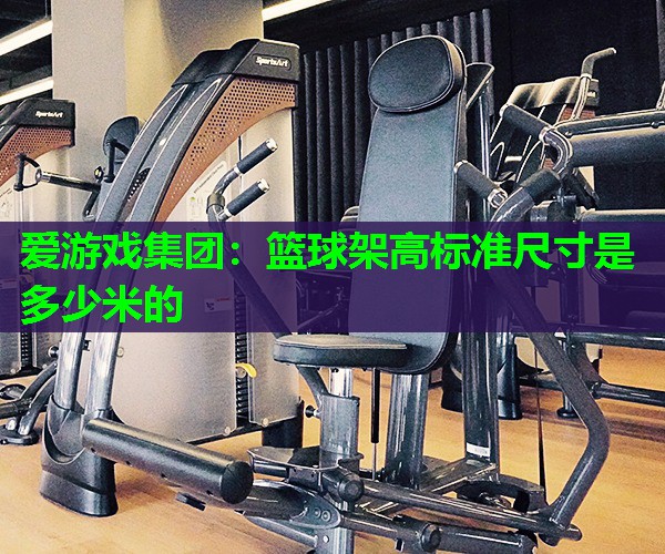 爱游戏集团：篮球架高标准尺寸是多少米的