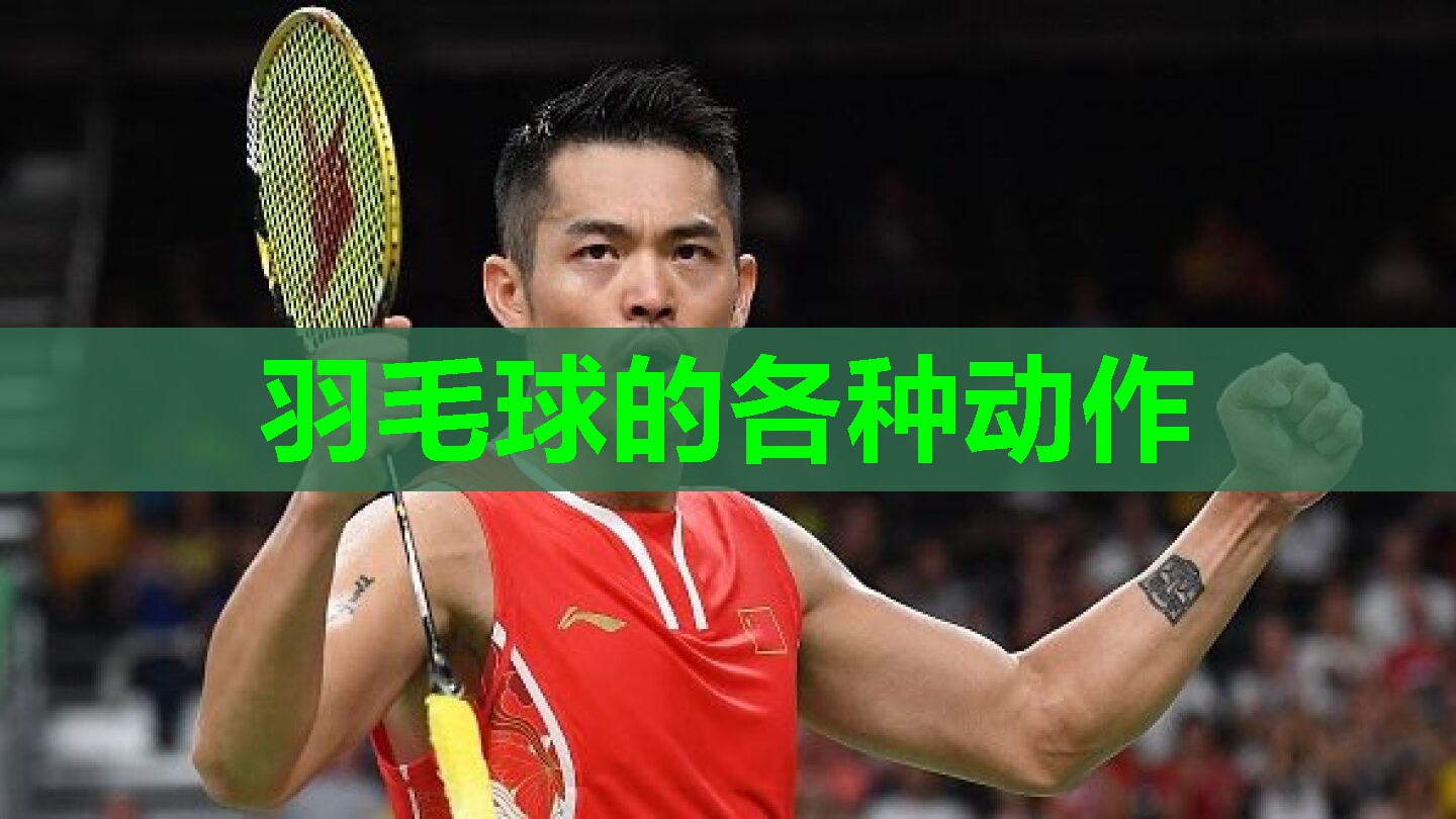 羽毛球的各种动作