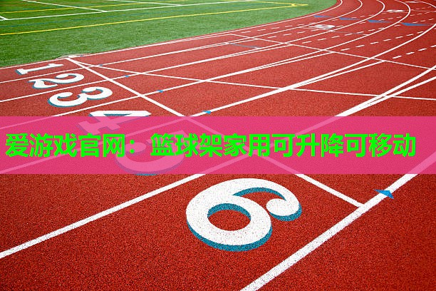 爱游戏官网：篮球架家用可升降可移动