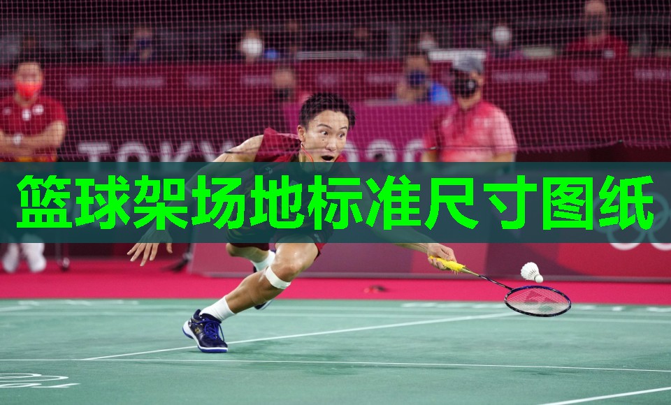 篮球架场地标准尺寸图纸