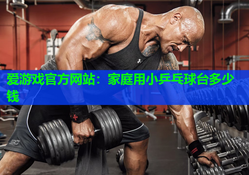 爱游戏官方网站：家庭用小乒乓球台多少钱