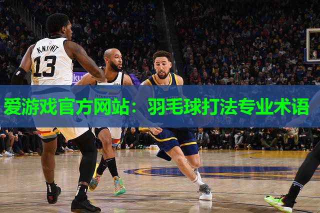 爱游戏官方网站：羽毛球打法专业术语