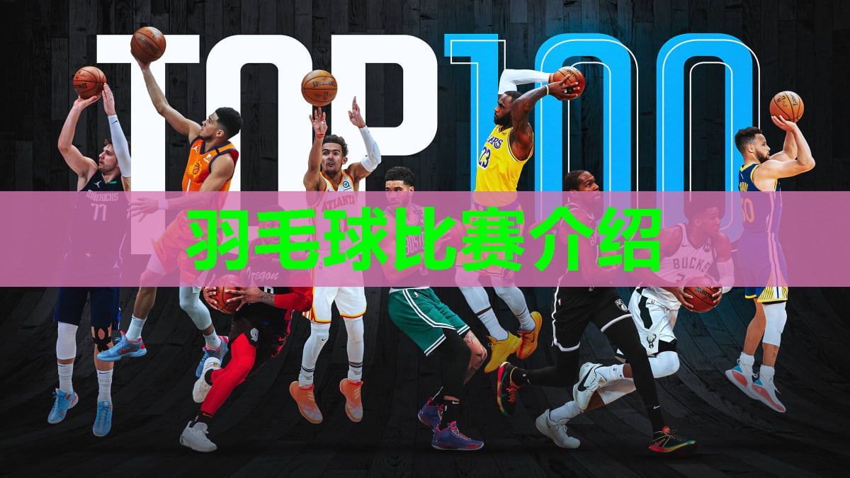 羽毛球比赛介绍