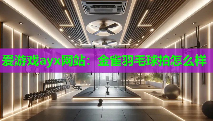 爱游戏ayx网站：金雀羽毛球拍怎么样