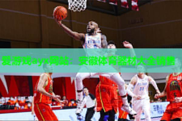 爱游戏ayx网站：安徽体育器材大全销售