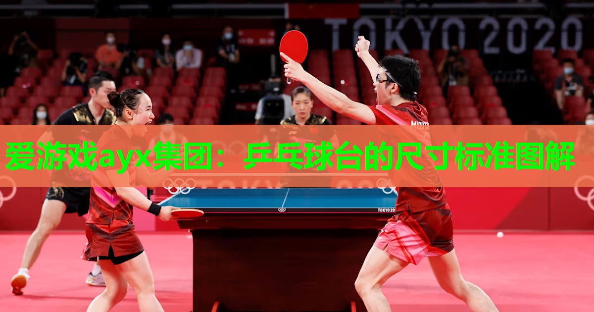 爱游戏ayx集团：乒乓球台的尺寸标准图解
