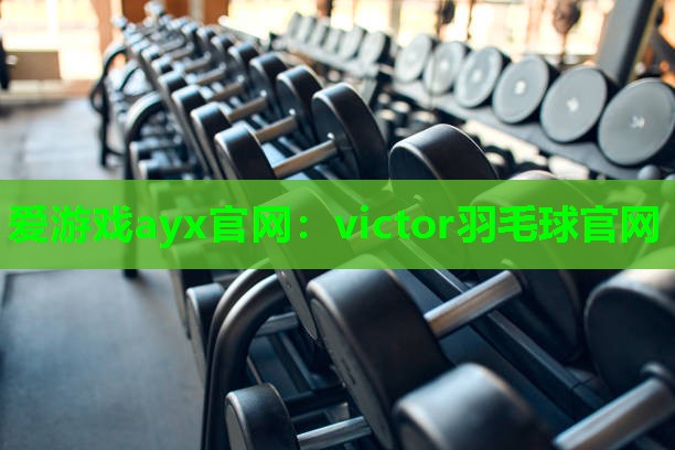 爱游戏ayx官网：victor羽毛球官网