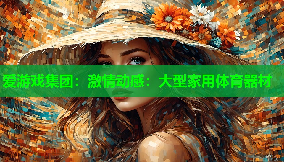 爱游戏集团：激情动感：大型家用体育器材