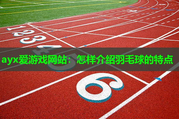 ayx爱游戏网站：怎样介绍羽毛球的特点