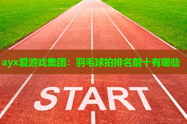 羽毛球拍排名前十有哪些