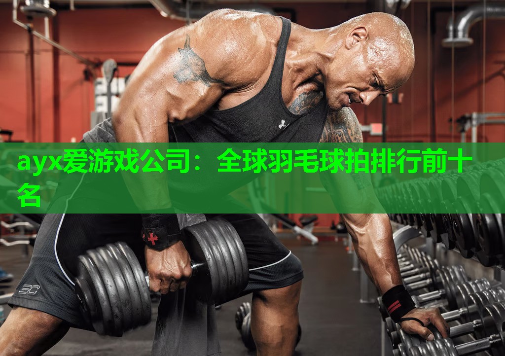 全球羽毛球拍排行前十名