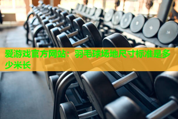 羽毛球场地尺寸标准是多少米长