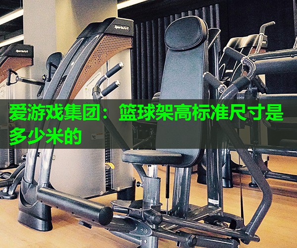 篮球架高标准尺寸是多少米的