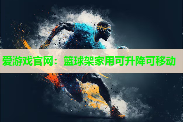 篮球架家用可升降可移动