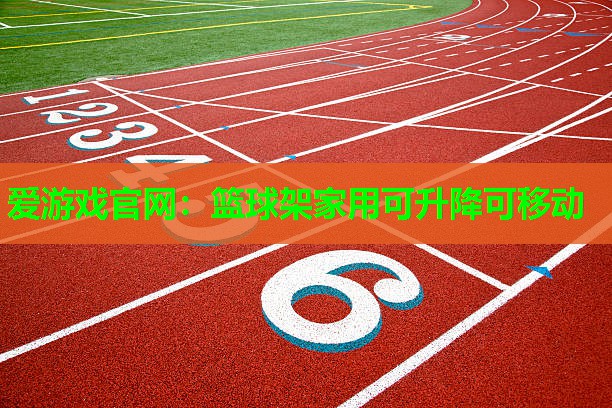 篮球架家用可升降可移动