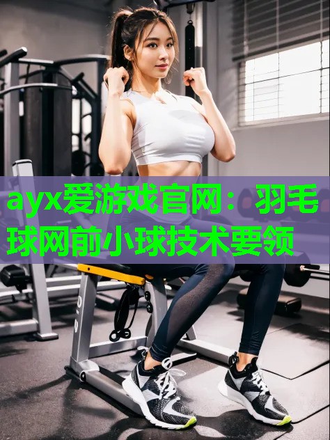 羽毛球网前小球技术要领