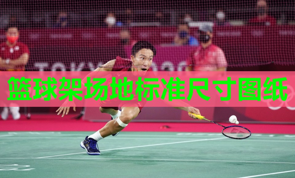 篮球架场地标准尺寸图纸
