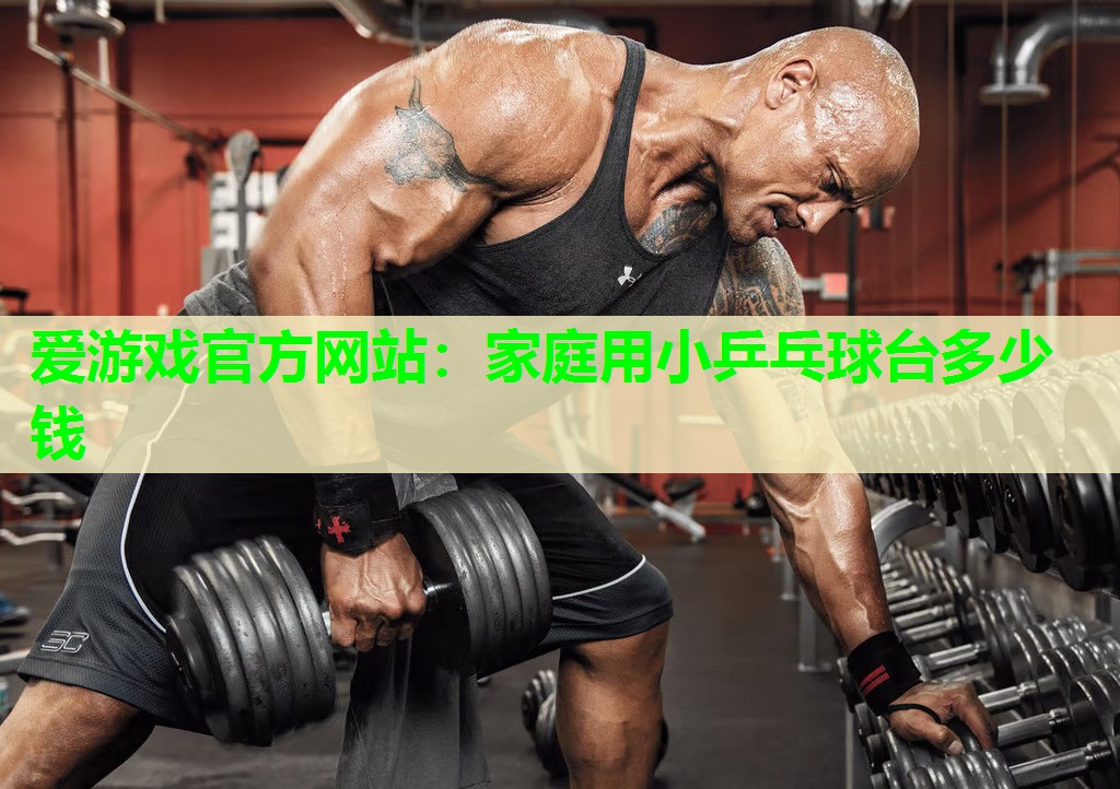 家庭用小乒乓球台多少钱
