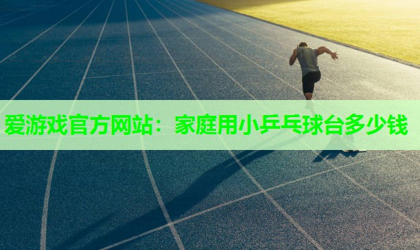 家庭用小乒乓球台多少钱