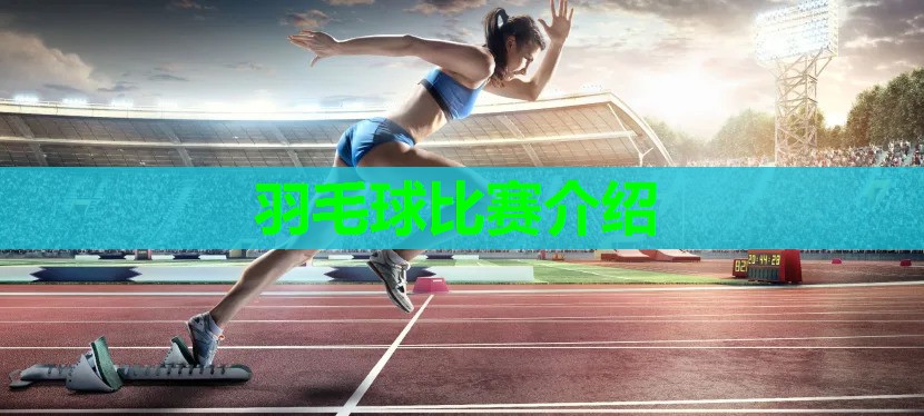 羽毛球比赛介绍