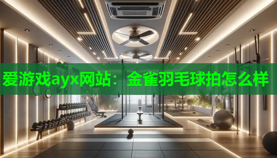 金雀羽毛球拍怎么样