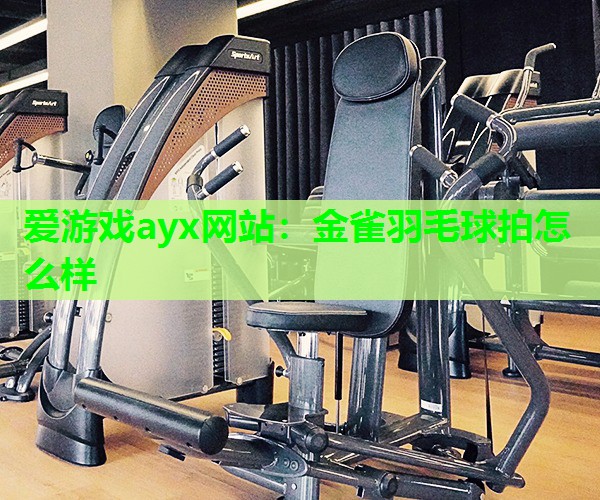 金雀羽毛球拍怎么样