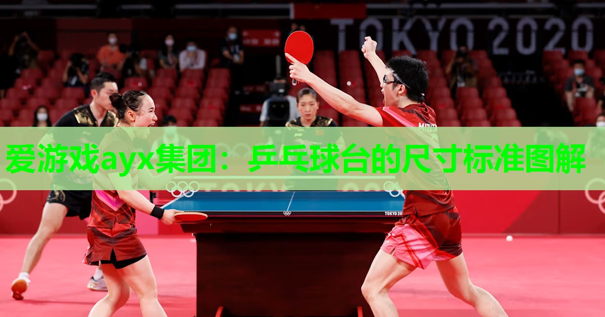 乒乓球台的尺寸标准图解