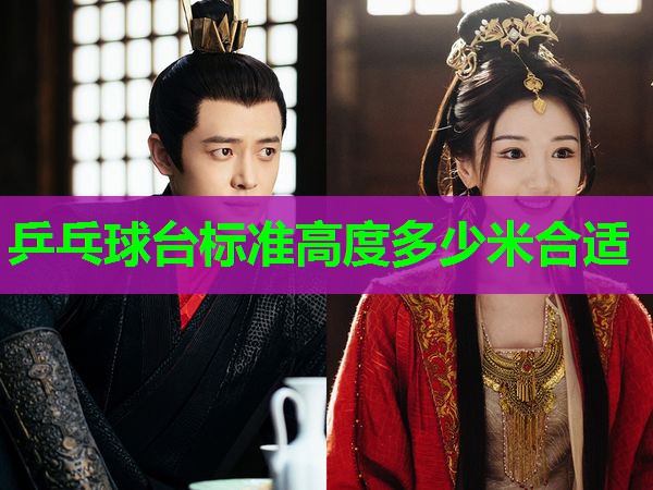 乒乓球台标准高度多少米合适