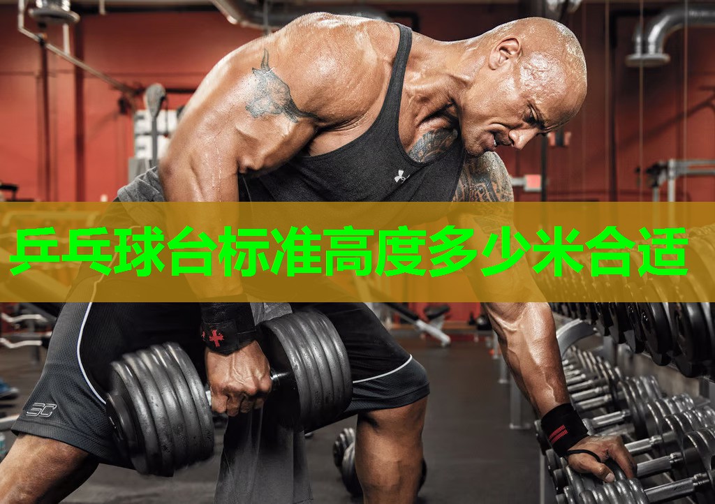 乒乓球台标准高度多少米合适