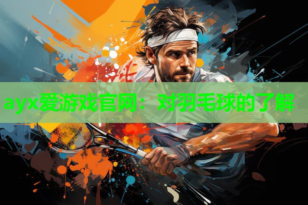 对羽毛球的了解