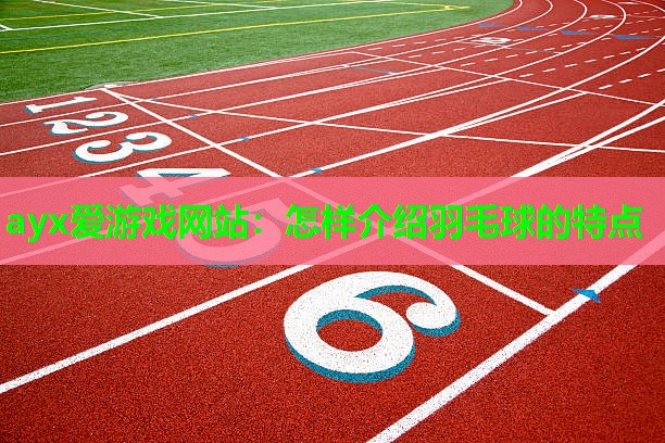 怎样介绍羽毛球的特点