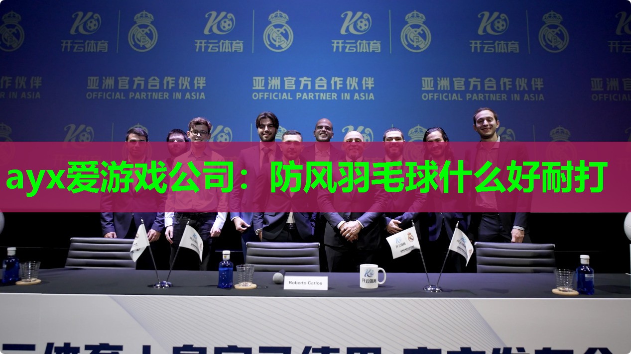防风羽毛球什么好耐打